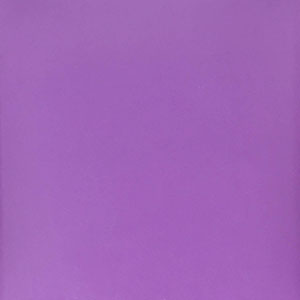 Purple Lilac Color